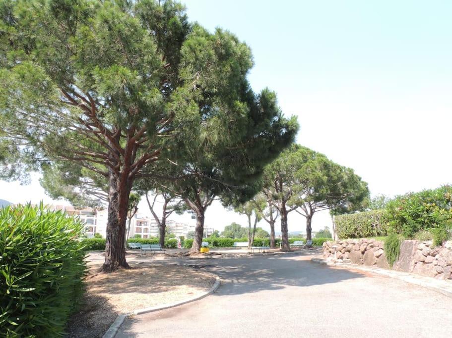 Ginkgo Studio - Piscine, Proche De La Mer, Golf, Wifi Mandelieu-la-Napoule Exterior photo
